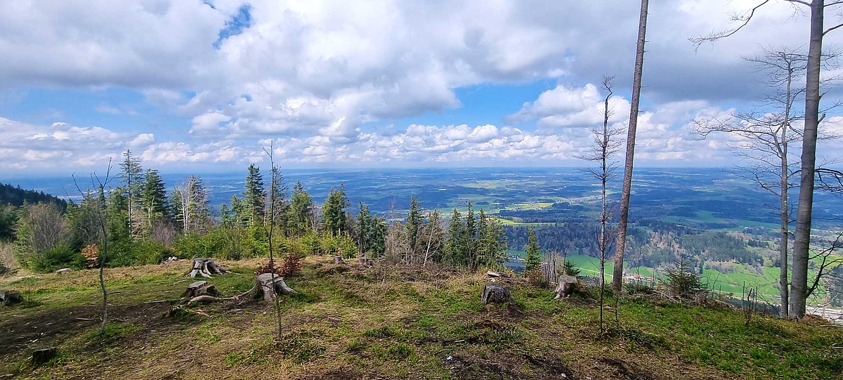 Bayerischer Wald